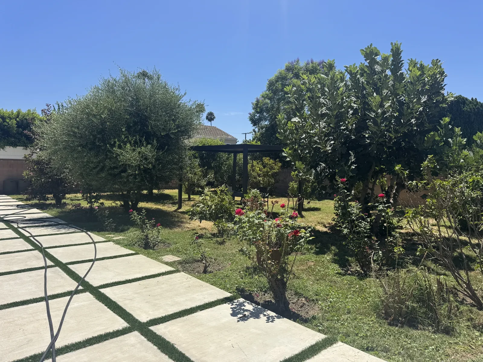 The garden and grounds